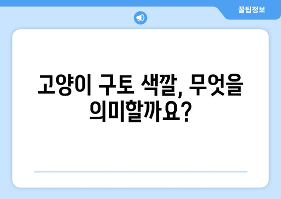 고양이 구토 색깔, 위험 신호 알아보기| 원인별 구토 색깔 & 응급처치 가이드 | 고양이 건강, 구토, 응급 상황