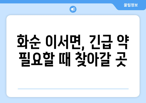 전라남도 화순군 이서면 24시간 토요일 일요일 휴일 공휴일 야간 약국