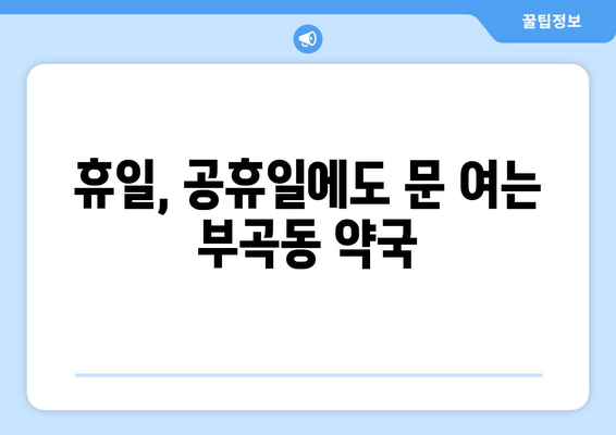 경기도 의왕시 부곡동 24시간 토요일 일요일 휴일 공휴일 야간 약국