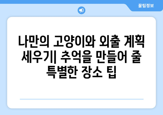 고양이와 함께하는 외출, 유대 종류별 특징 비교| 나에게 딱 맞는 동반자는? | 고양이, 외출,  유대