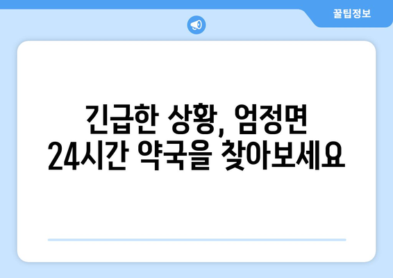 충청북도 충주시 엄정면 24시간 토요일 일요일 휴일 공휴일 야간 약국