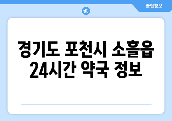 경기도 포천시 소흘읍 24시간 토요일 일요일 휴일 공휴일 야간 약국