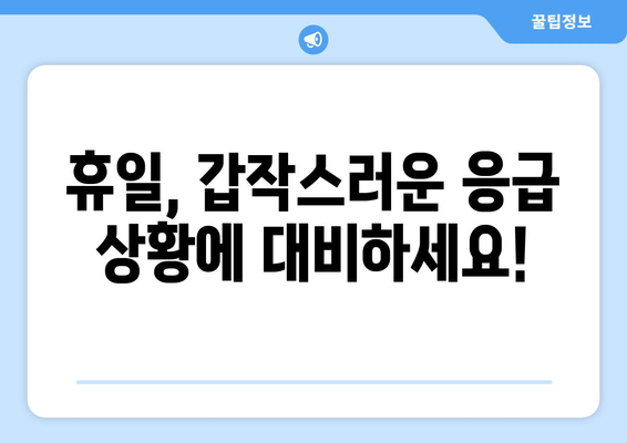 전라남도 장성군 북하면 24시간 토요일 일요일 휴일 공휴일 야간 약국