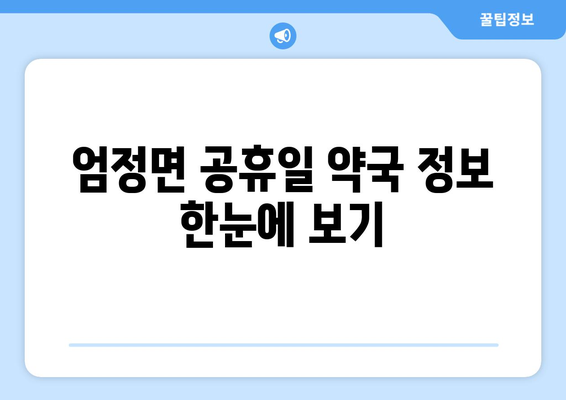 충청북도 충주시 엄정면 24시간 토요일 일요일 휴일 공휴일 야간 약국