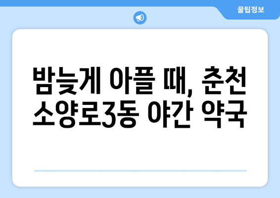 강원도 춘천시 소양로3동 24시간 토요일 일요일 휴일 공휴일 야간 약국