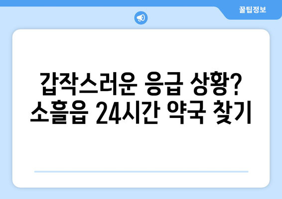 경기도 포천시 소흘읍 24시간 토요일 일요일 휴일 공휴일 야간 약국