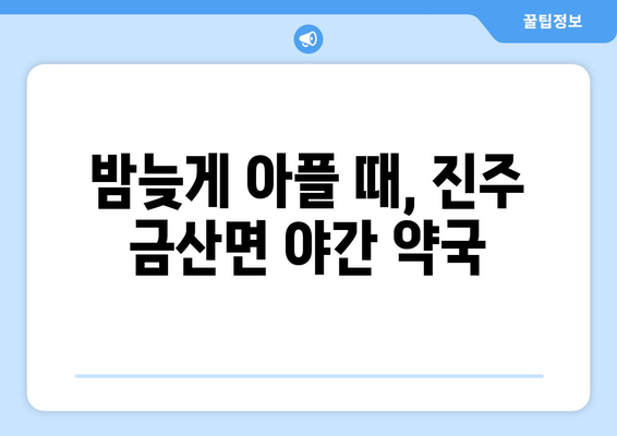 경상남도 진주시 금산면 24시간 토요일 일요일 휴일 공휴일 야간 약국