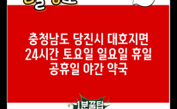 충청남도 당진시 대호지면 24시간 토요일 일요일 휴일 공휴일 야간 약국