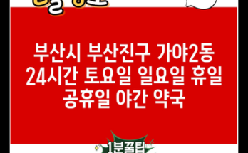 부산시 부산진구 가야2동 24시간 토요일 일요일 휴일 공휴일 야간 약국