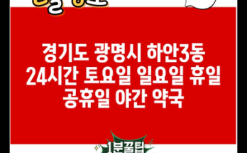 경기도 광명시 하안3동 24시간 토요일 일요일 휴일 공휴일 야간 약국