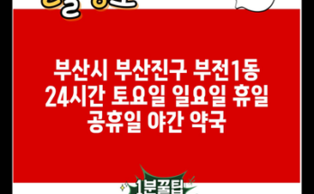 부산시 부산진구 부전1동 24시간 토요일 일요일 휴일 공휴일 야간 약국