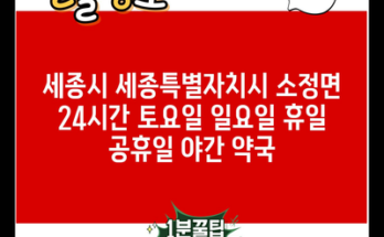 세종시 세종특별자치시 소정면 24시간 토요일 일요일 휴일 공휴일 야간 약국