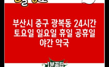 부산시 중구 광복동 24시간 토요일 일요일 휴일 공휴일 야간 약국