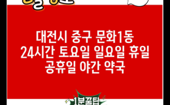 대전시 중구 문화1동 24시간 토요일 일요일 휴일 공휴일 야간 약국