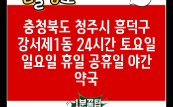 충청북도 청주시 흥덕구 강서제1동 24시간 토요일 일요일 휴일 공휴일 야간 약국