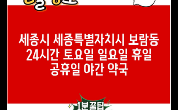 세종시 세종특별자치시 보람동 24시간 토요일 일요일 휴일 공휴일 야간 약국