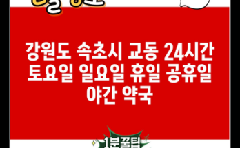 강원도 속초시 교동 24시간 토요일 일요일 휴일 공휴일 야간 약국