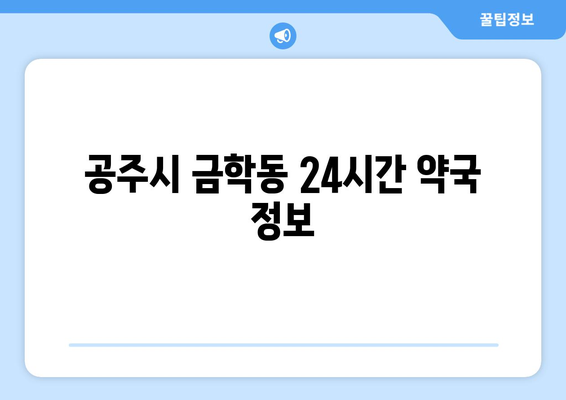 충청남도 공주시 금학동 24시간 토요일 일요일 휴일 공휴일 야간 약국