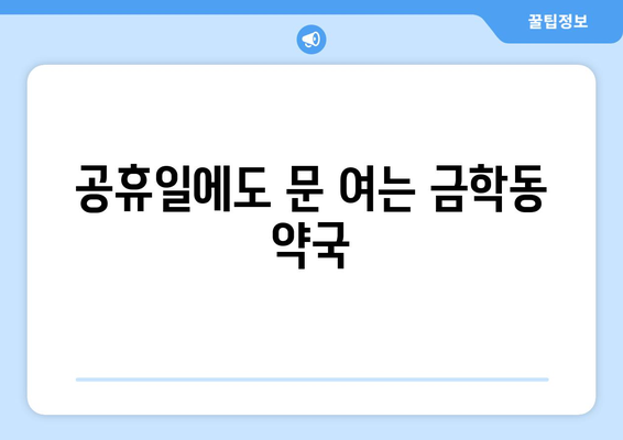 충청남도 공주시 금학동 24시간 토요일 일요일 휴일 공휴일 야간 약국