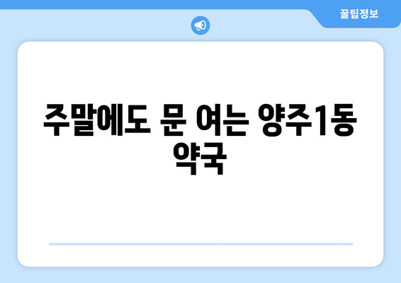 경기도 양주시 양주1동 24시간 토요일 일요일 휴일 공휴일 야간 약국