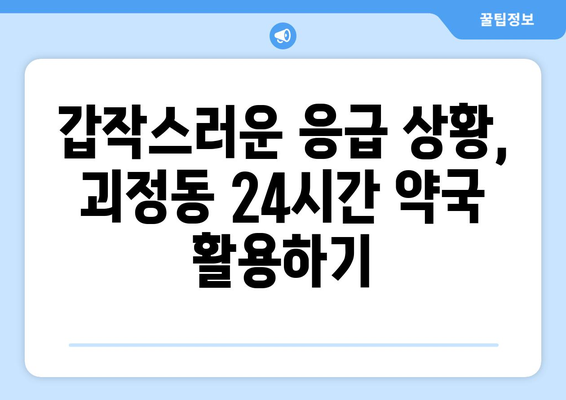 대전시 서구 괴정동 24시간 토요일 일요일 휴일 공휴일 야간 약국