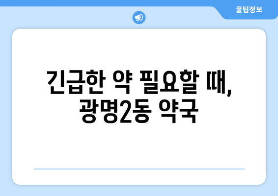 경기도 광명시 광명2동 24시간 토요일 일요일 휴일 공휴일 야간 약국