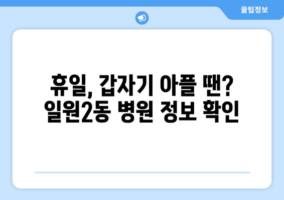 서울시 강남구 일원2동 일요일 휴일 공휴일 야간 진료병원 리스트