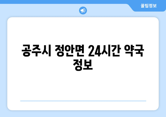 충청남도 공주시 정안면 24시간 토요일 일요일 휴일 공휴일 야간 약국