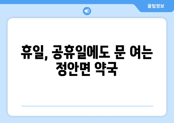 충청남도 공주시 정안면 24시간 토요일 일요일 휴일 공휴일 야간 약국