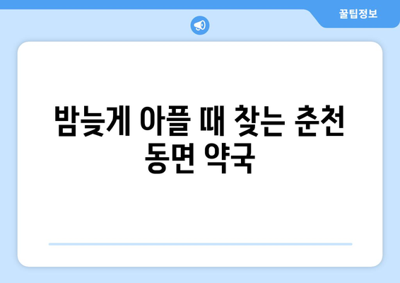 강원도 춘천시 동면 24시간 토요일 일요일 휴일 공휴일 야간 약국