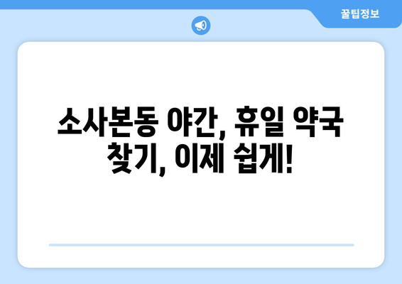 경기도 부천시 소사본동 24시간 토요일 일요일 휴일 공휴일 야간 약국