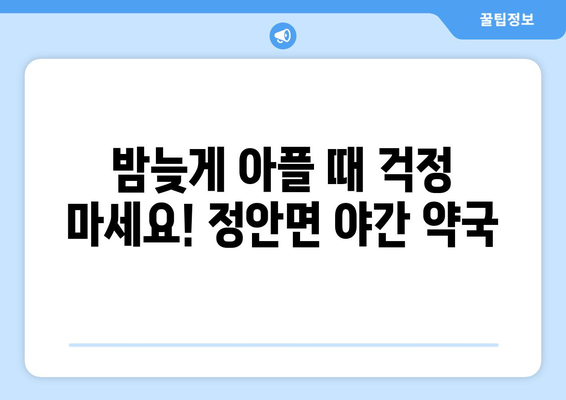 충청남도 공주시 정안면 24시간 토요일 일요일 휴일 공휴일 야간 약국