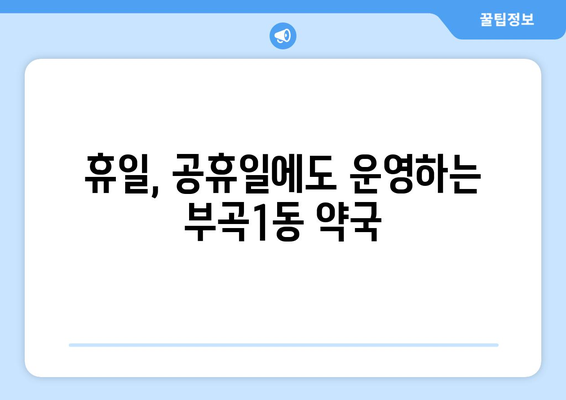 부산시 금정구 부곡1동 24시간 토요일 일요일 휴일 공휴일 야간 약국