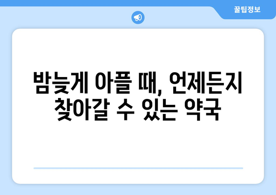 서울시 서초구 양재2동 24시간 토요일 일요일 휴일 공휴일 야간 약국