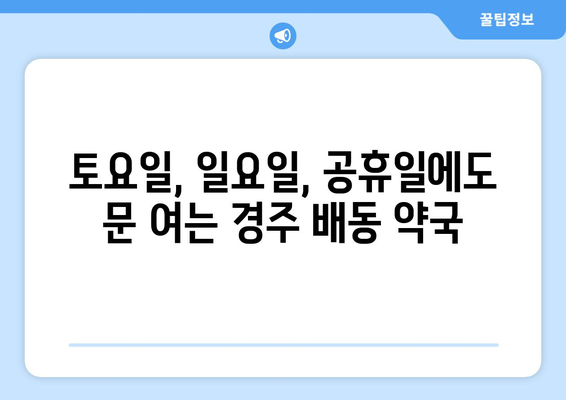 경상북도 경주시 배동 24시간 토요일 일요일 휴일 공휴일 야간 약국