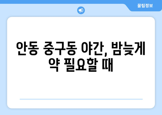 경상북도 안동시 중구동 24시간 토요일 일요일 휴일 공휴일 야간 약국