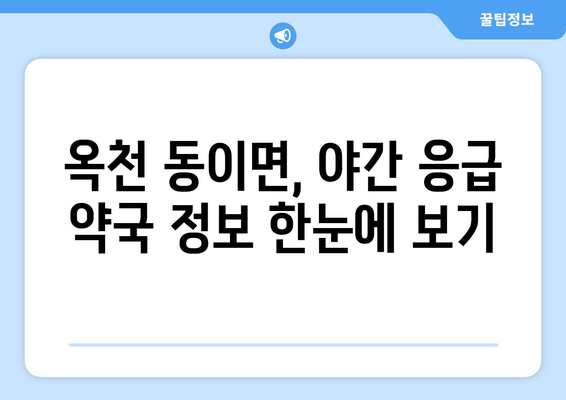 충청북도 옥천군 동이면 24시간 토요일 일요일 휴일 공휴일 야간 약국