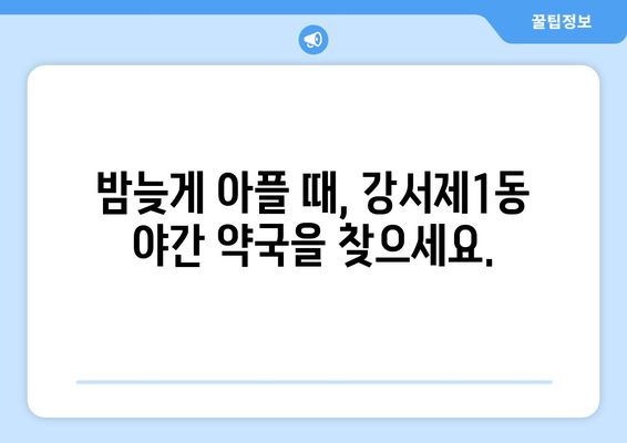 충청북도 청주시 흥덕구 강서제1동 24시간 토요일 일요일 휴일 공휴일 야간 약국