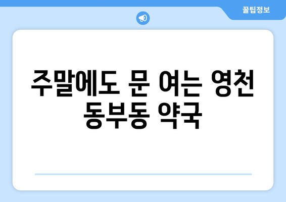 경상북도 영천시 동부동 24시간 토요일 일요일 휴일 공휴일 야간 약국