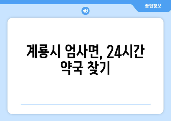 충청남도 계룡시 엄사면 24시간 토요일 일요일 휴일 공휴일 야간 약국