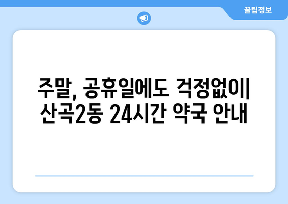 인천시 부평구 산곡2동 24시간 토요일 일요일 휴일 공휴일 야간 약국