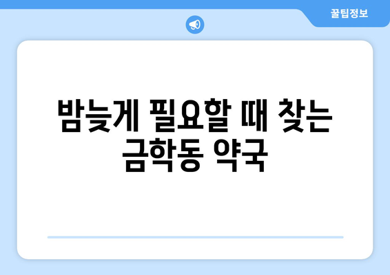 충청남도 공주시 금학동 24시간 토요일 일요일 휴일 공휴일 야간 약국