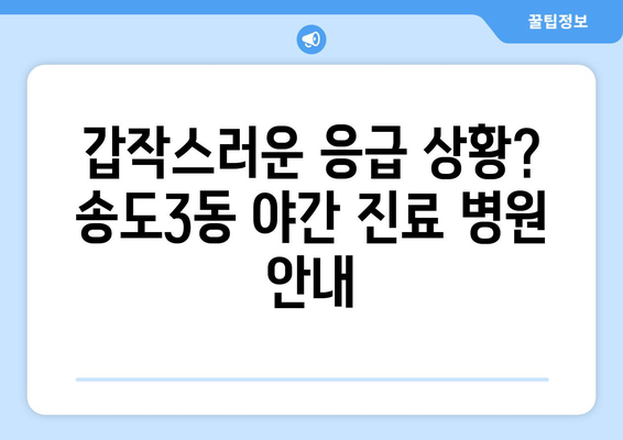 인천시 연수구 송도3동 일요일 휴일 공휴일 야간 진료병원 리스트