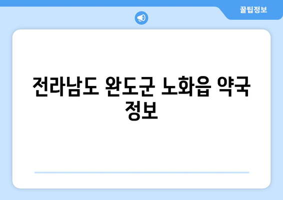 전라남도 완도군 노화읍 24시간 토요일 일요일 휴일 공휴일 야간 약국