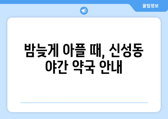 대전시 유성구 신성동 24시간 토요일 일요일 휴일 공휴일 야간 약국