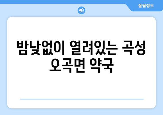 전라남도 곡성군 오곡면 24시간 토요일 일요일 휴일 공휴일 야간 약국