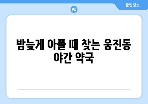 충청남도 공주시 웅진동 24시간 토요일 일요일 휴일 공휴일 야간 약국