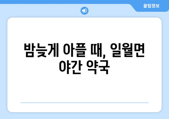 경상북도 영양군 일월면 24시간 토요일 일요일 휴일 공휴일 야간 약국