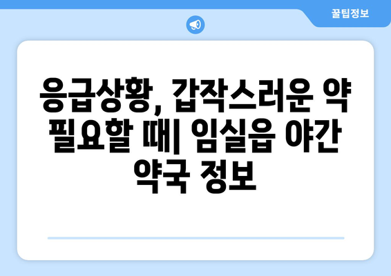 전라북도 임실군 임실읍 24시간 토요일 일요일 휴일 공휴일 야간 약국