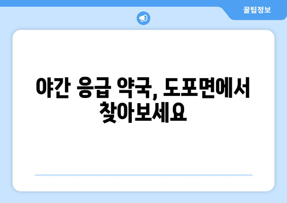 전라남도 영암군 도포면 24시간 토요일 일요일 휴일 공휴일 야간 약국